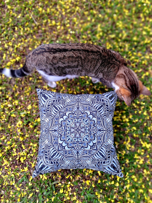 He founded the chiva