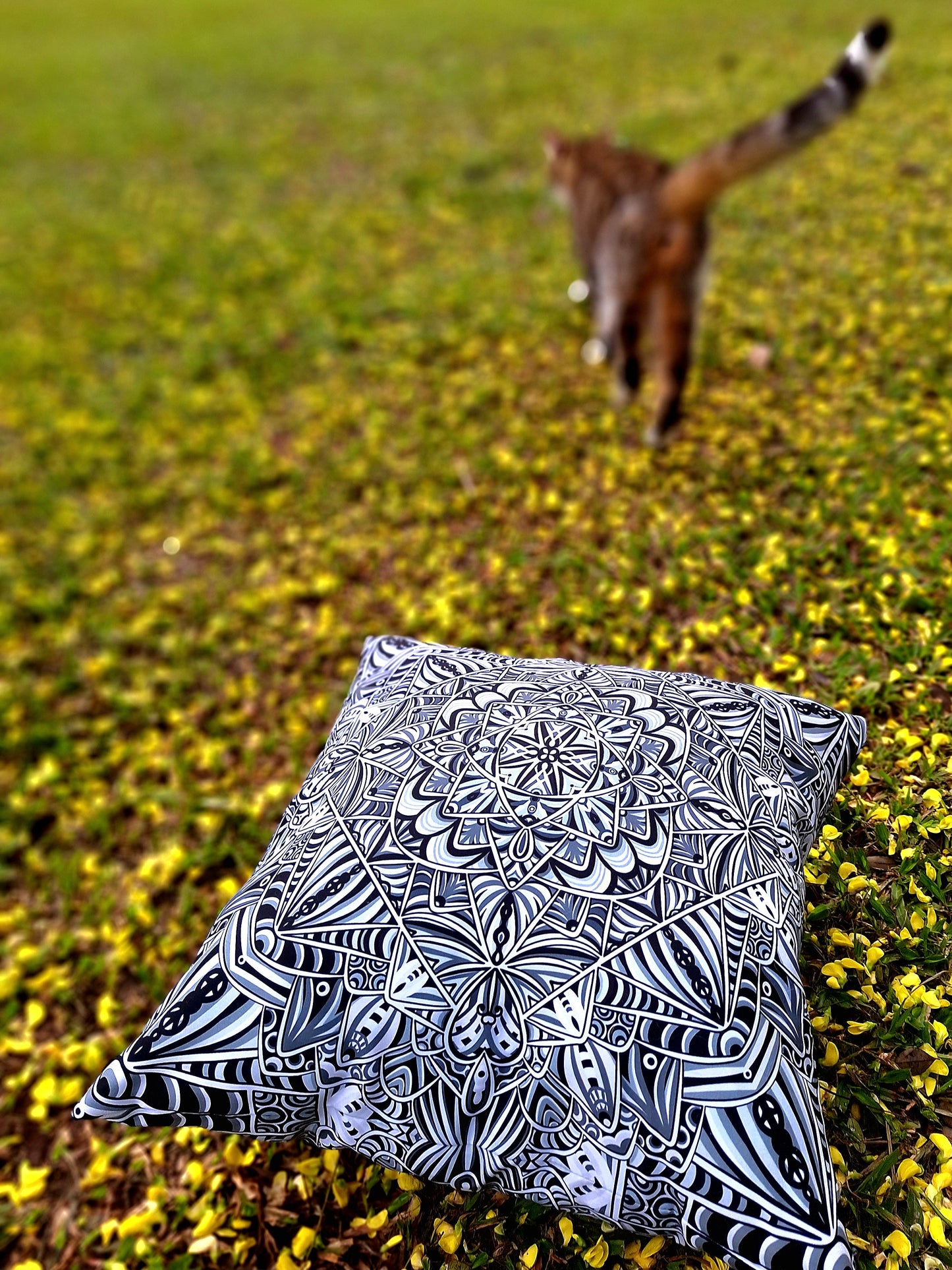 He founded the chiva