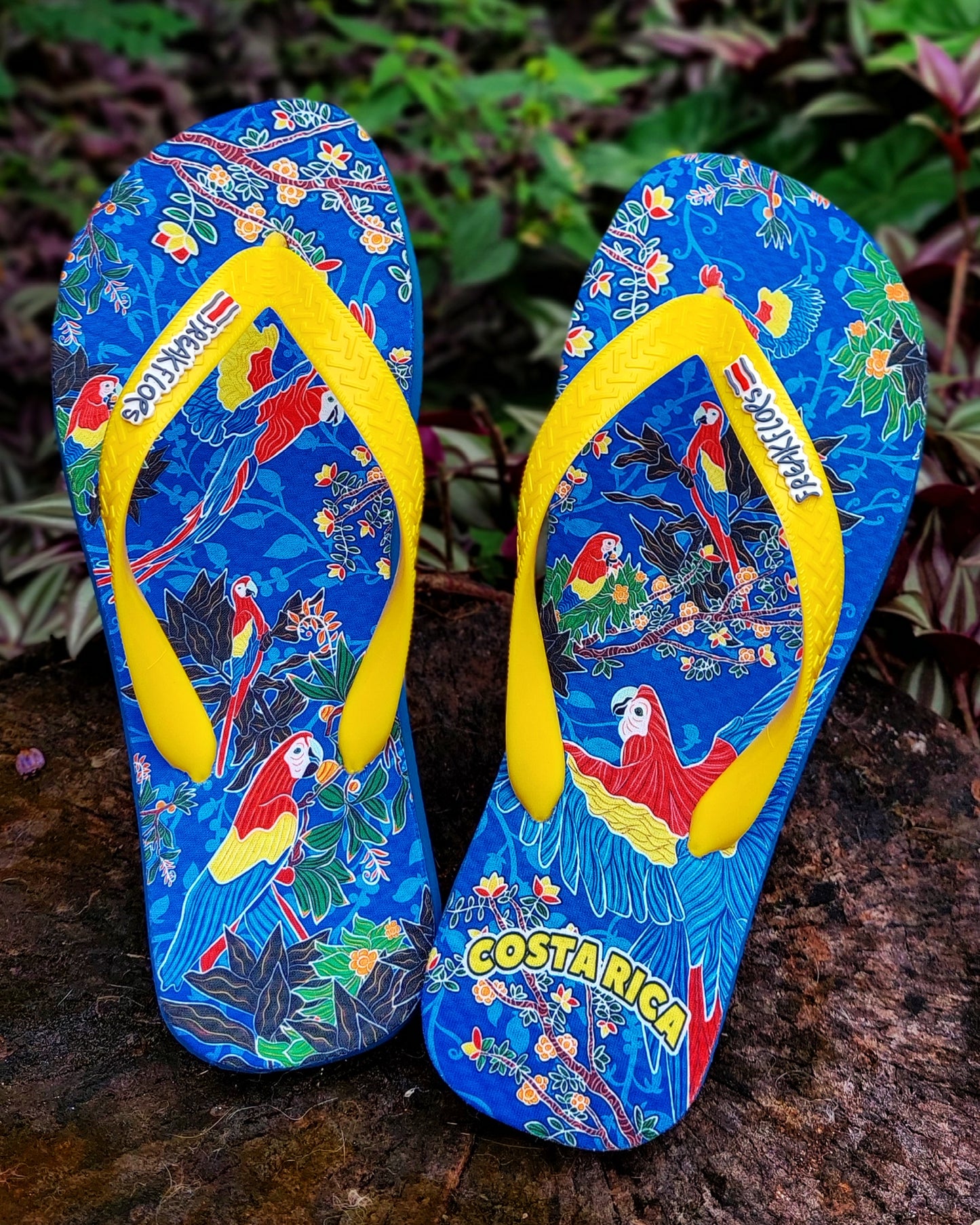 <tc>BLUE MACAWS FLIP FLOPS</tc>