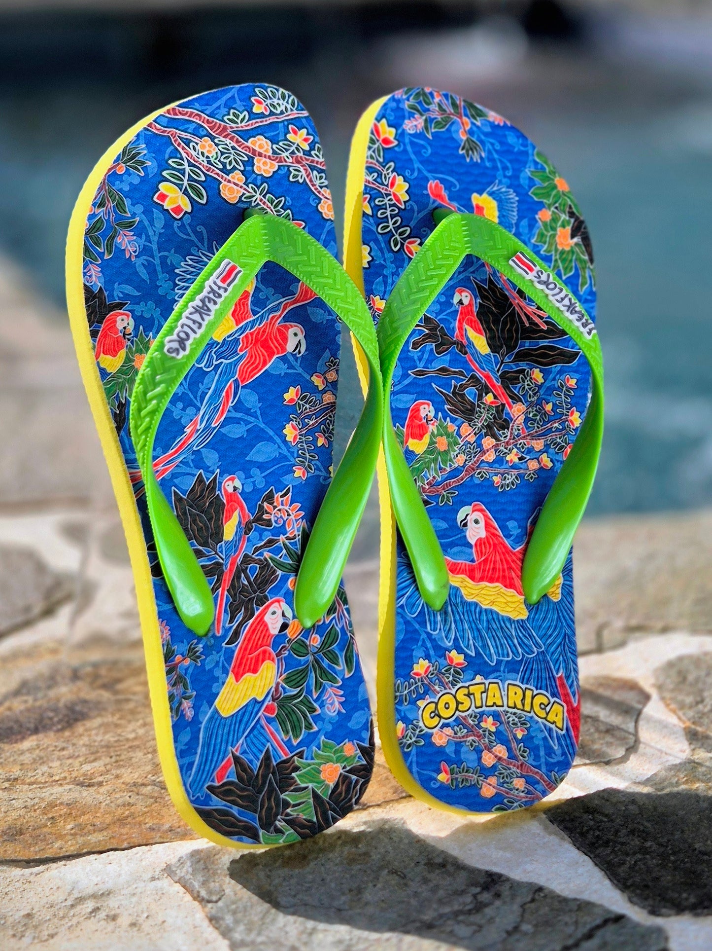 <tc>BLUE MACAWS FLIP FLOPS</tc>