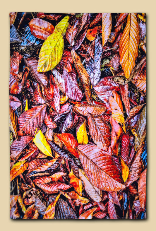 Manta de playa Hojas Secas